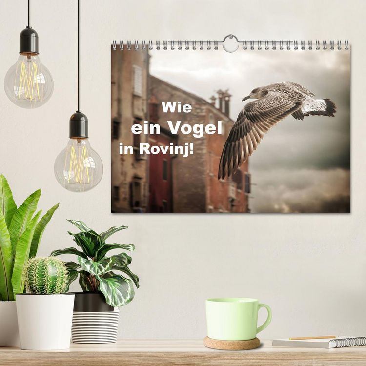 Produktbild: Wie ein Vogel in Rovinj! (Wandkalender 2026 DIN A4 quer), CALVENDO Monatskalender