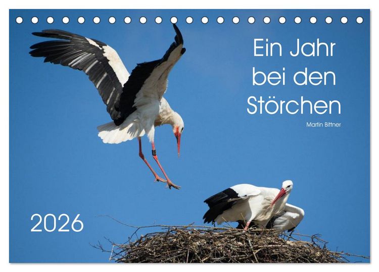 Produktbild: Ein Jahr bei den St&ouml;rchen (Tischkalender 2026 DIN A5 quer), CALVENDO Monatskalender