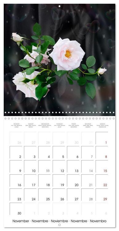 Produktbild: Sheer joy (Wall Calendar 2026 12 &times; 12 Inch) CALVENDO 12 Month Wall Calendar