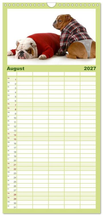 Produktbild: Familienplaner 2027 - English Bulldog XXL Models mit 5 Spalten (Wandkalender, 21 x 45 cm) CALVENDO