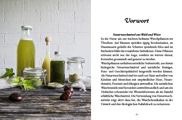 Produktbild: Das gro&szlig;e kleine Buch: Naturwaschmittel aus Wald und Wiese
