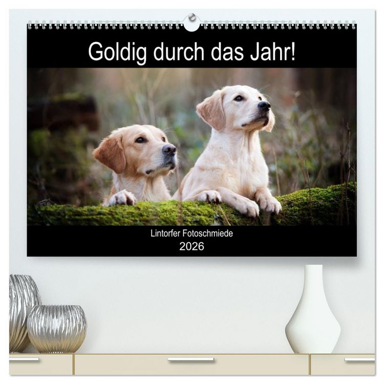 Produktbild: Goldig durch das Jahr! (hochwertiger Premium Wandkalender 2026 DIN A2 quer), Kunstdruck in Hochglanz