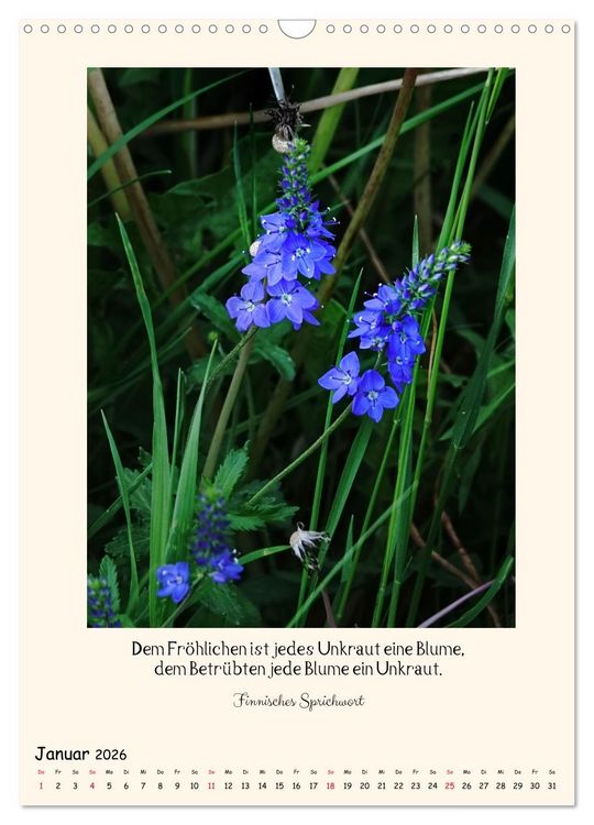 Produktbild: Verborgene Sch&ouml;nheiten am Wegesrand (Wandkalender 2026 DIN A3 hoch), CALVENDO Monatskalender