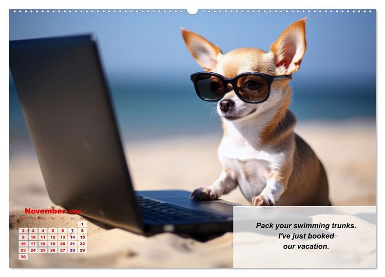 Produktbild: Great fun for Chihuahua lovers (Wall Calendar 2026 DIN A2 landscape), CALVENDO 12 Month Wall Calendar