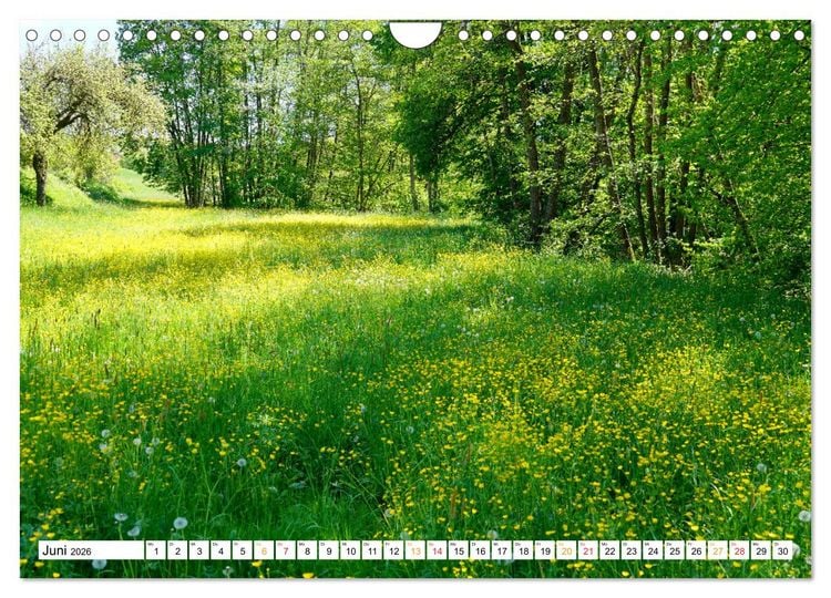 Produktbild: 12 Monate Natur (Wandkalender 2026 DIN A4 quer), CALVENDO Monatskalender