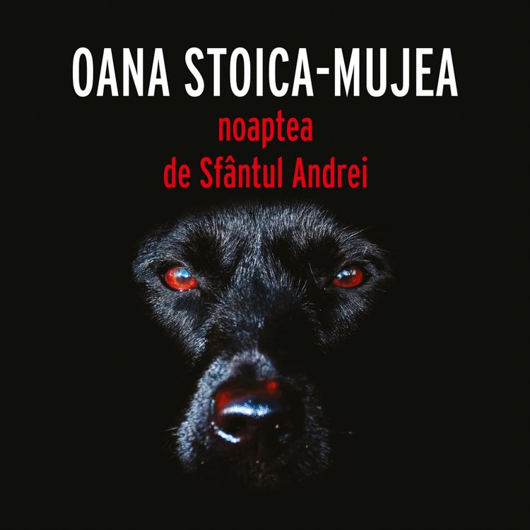 Produktbild: Noaptea de Sf&acirc;ntul Andrei