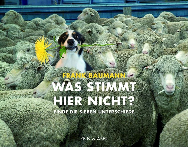 Produktbild: Was stimmt hier nicht?