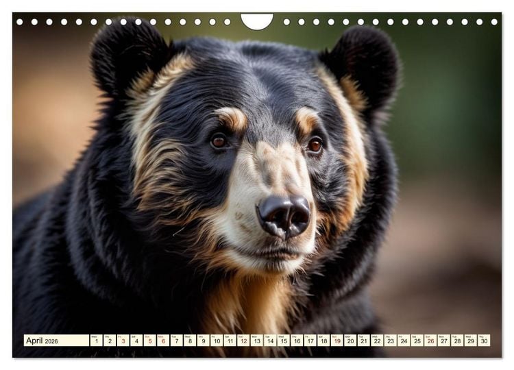 Produktbild: Small and large bears (Wall Calendar 2026 DIN A4 landscape), CALVENDO 12 Month Wall Calendar