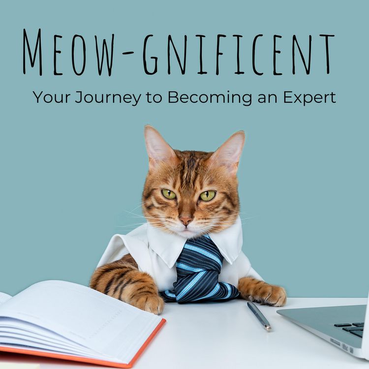 Produktbild: Meow-Gnificent : Your Journey to Becoming a cat Expert