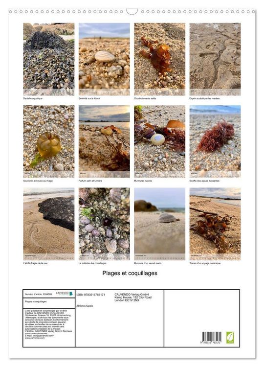 Produktbild: Plages et coquillages (Calendrier mural 2027 DIN A2 horizontal), CALVENDO calendrier mensuel