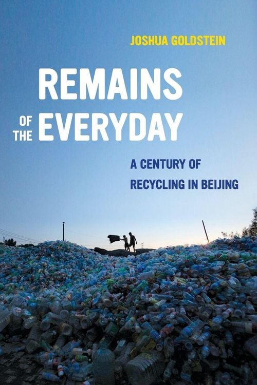 Produktbild: Remains of the Everyday