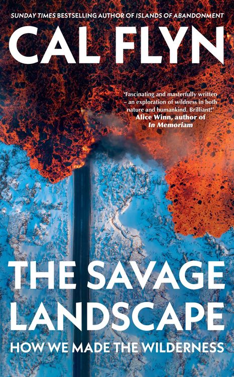 Produktbild: The Savage Landscape