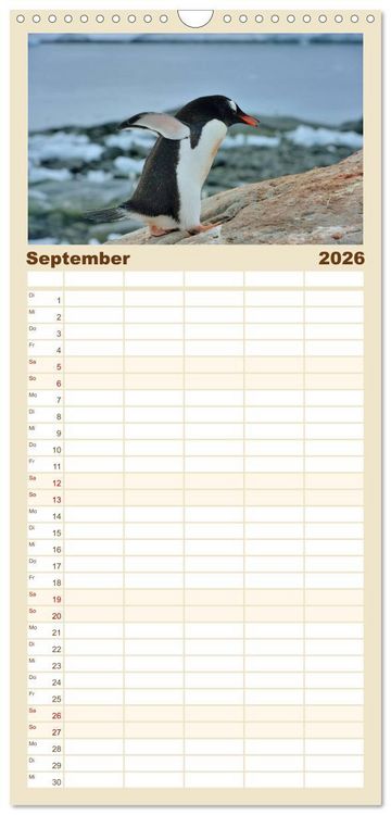 Produktbild: Familienplaner 2026 - Im Reich der Pinguine mit 5 Spalten (Wandkalender, 21 x 45 cm) CALVENDO