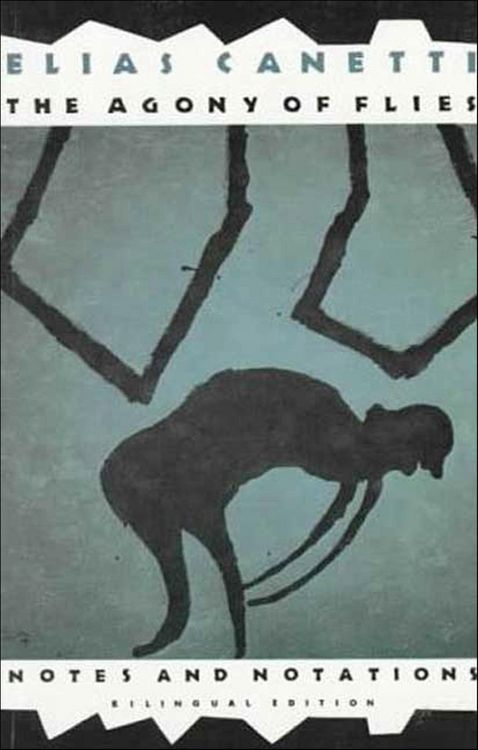 Produktbild: The Agony of Flies