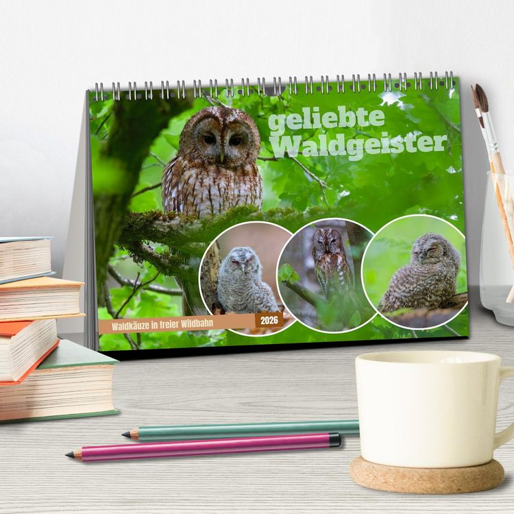Produktbild: geliebte Waldgeister (Tischkalender 2026 DIN A5 quer), CALVENDO Monatskalender