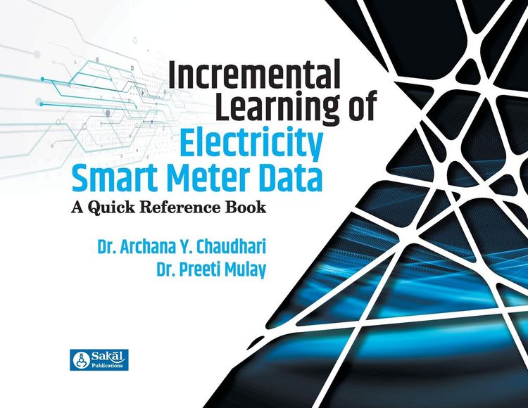 Produktbild: Incremental Learning of Electricity Smart Meter Data