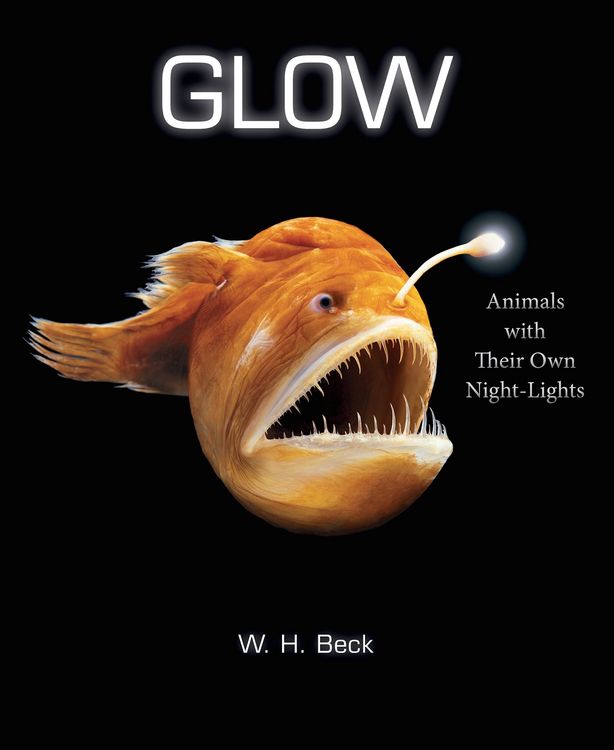 Produktbild: Glow
