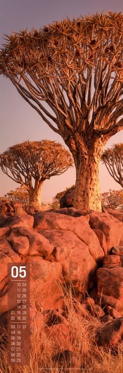 Produktbild: Afrika Vertikal Kalender 2027