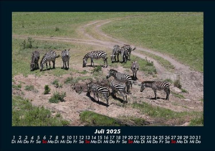 Produktbild: Zebrazauber 2025 Fotokalender DIN A5