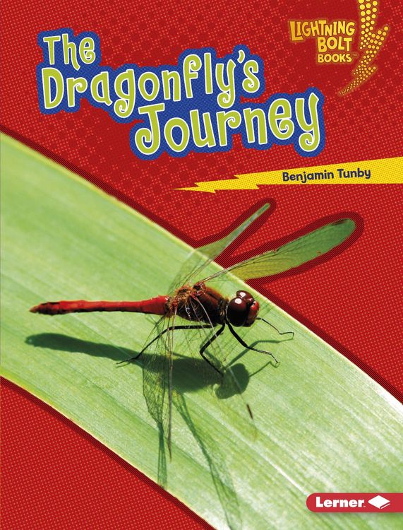Produktbild: Dragonfly's Journey