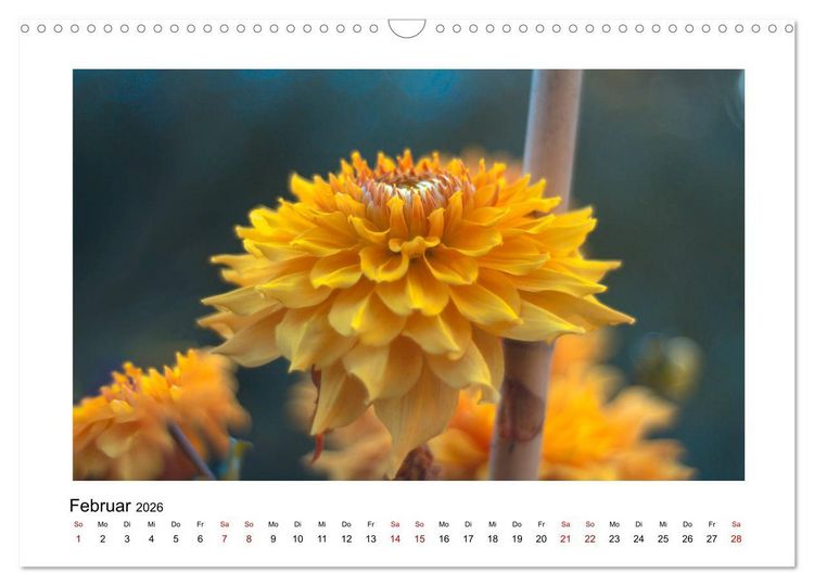 Produktbild: Oranger Bl&uuml;tentraum (Wandkalender 2026 DIN A3 quer), CALVENDO Monatskalender