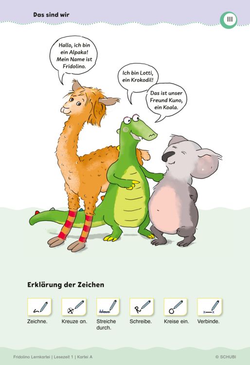 Produktbild: Fridolino Lernkartei