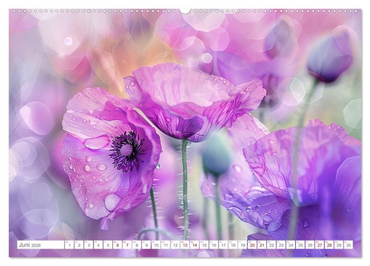 Produktbild: Bezaubernde Mohnblumen (hochwertiger Premium Wandkalender 2026 DIN A2 quer), Kunstdruck in Hochglanz