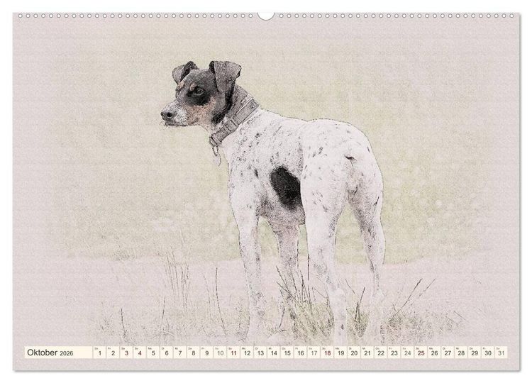 Produktbild: Bodeguero Andaluz 2026 (Wandkalender 2026 DIN A2 quer), CALVENDO Monatskalender