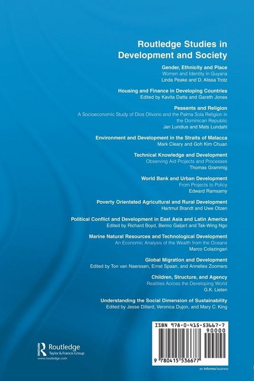 Produktbild: Understanding the Social Dimension of Sustainability