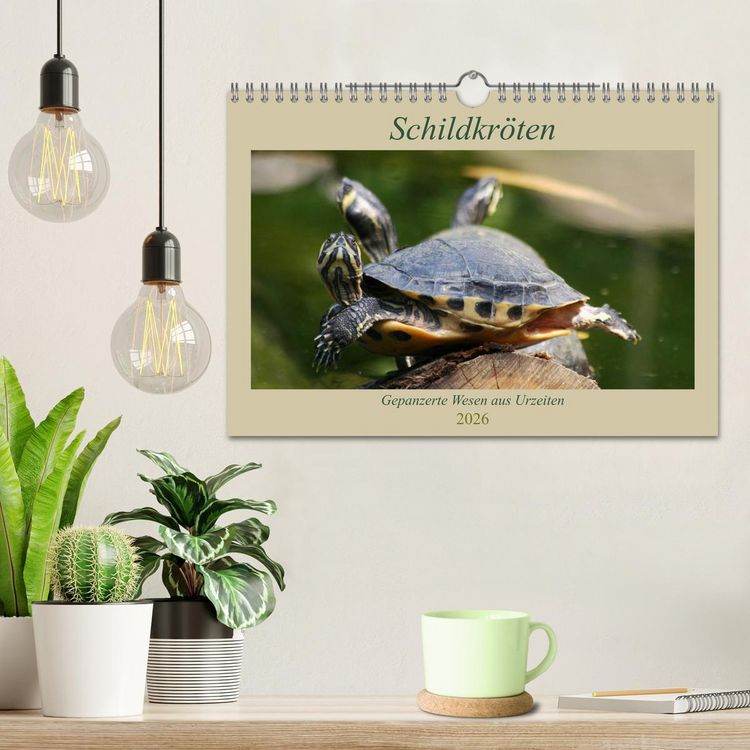 Produktbild: Schildkr&ouml;ten - Gepanzerte Wesen aus Urzeiten (Wandkalender 2026 DIN A4 quer), CALVENDO Monatskalender