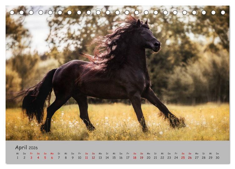 Produktbild: Spiegel deiner Seele (Tischkalender 2026 DIN A5 quer), CALVENDO Monatskalender