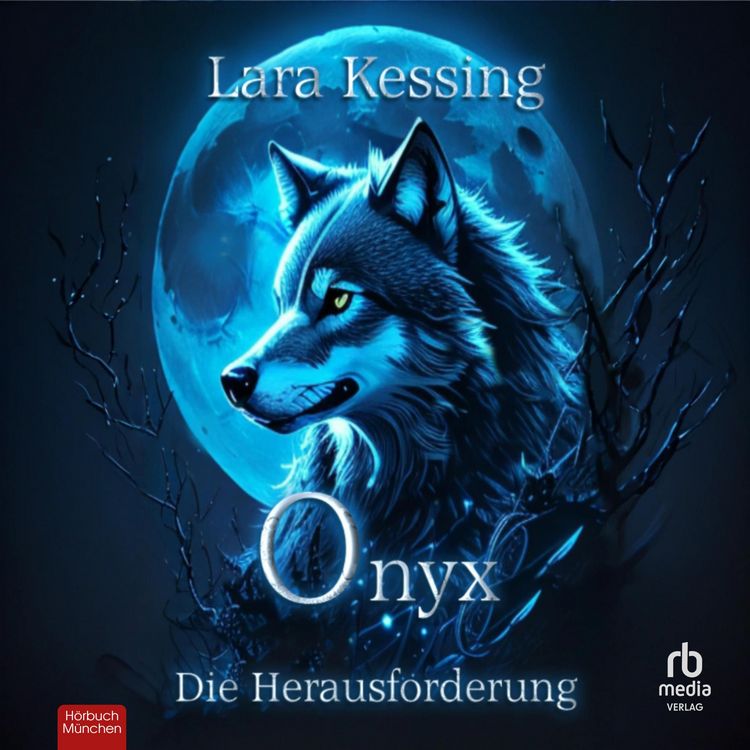 Produktbild: Onyx - Die Herausforderung