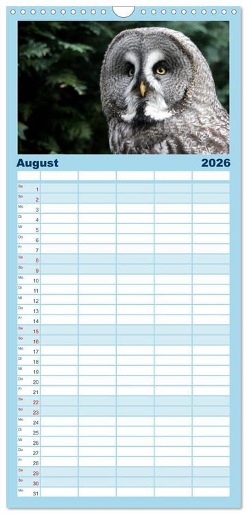 Produktbild: Familienplaner 2026 - Greifv&ouml;gel, Eulen und K&auml;uze mit 5 Spalten (Wandkalender, 21 x 45 cm) CALVENDO