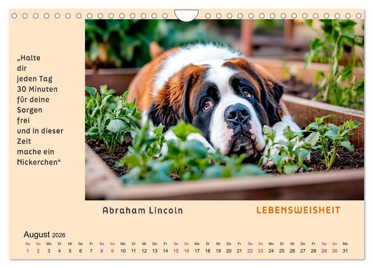 Produktbild: Pfiffig und weise (Wandkalender 2026 DIN A4 quer), CALVENDO Monatskalender