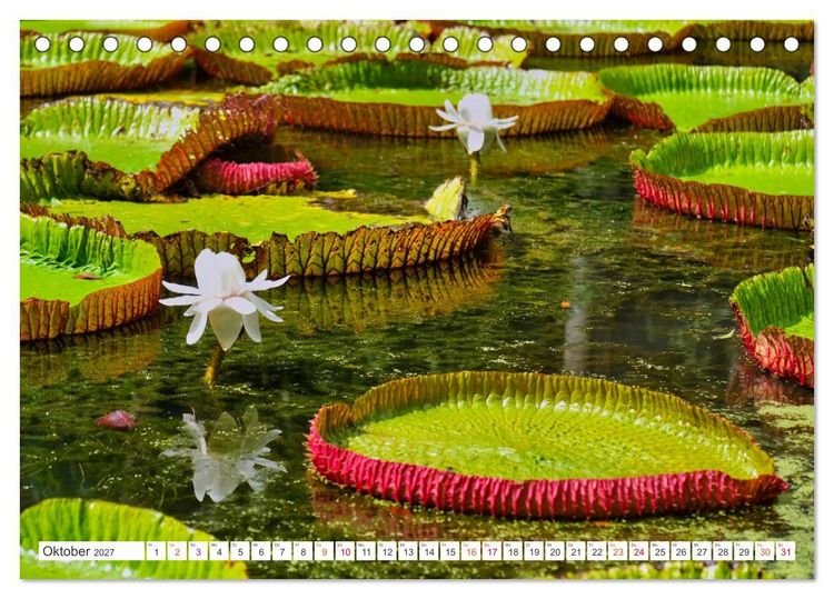 Produktbild: Mauritius - Sch&ouml;nheit im Indischen Ozean (Tischkalender 2027 DIN A5 quer), CALVENDO Monatskalender