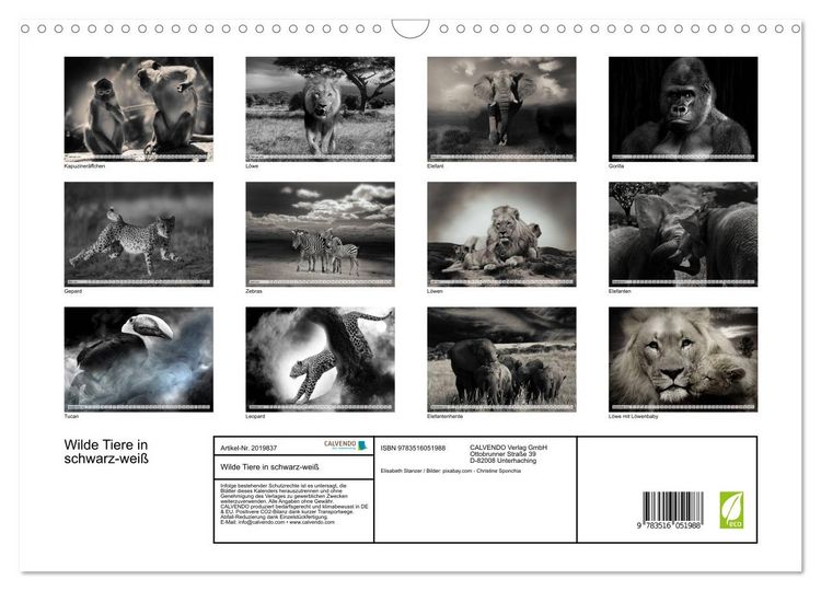 Produktbild: Wilde Tiere in schwarz-wei&szlig; (Wandkalender 2026 DIN A3 quer), CALVENDO Monatskalender