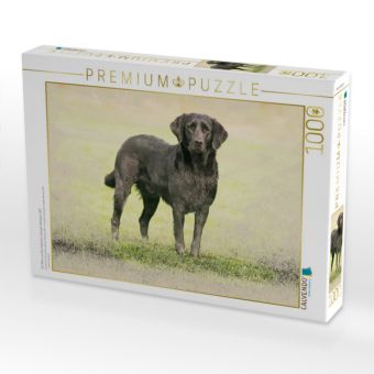 Produktbild: CALVENDO Puzzle Ein Motiv aus dem Kalender Labrador Retriever 2017 | 1000 Teile Lege-Gr&ouml;&szlig;e 64x48cm Foto-Puzzle f&uuml;r gl&uuml;ckliche Stunden