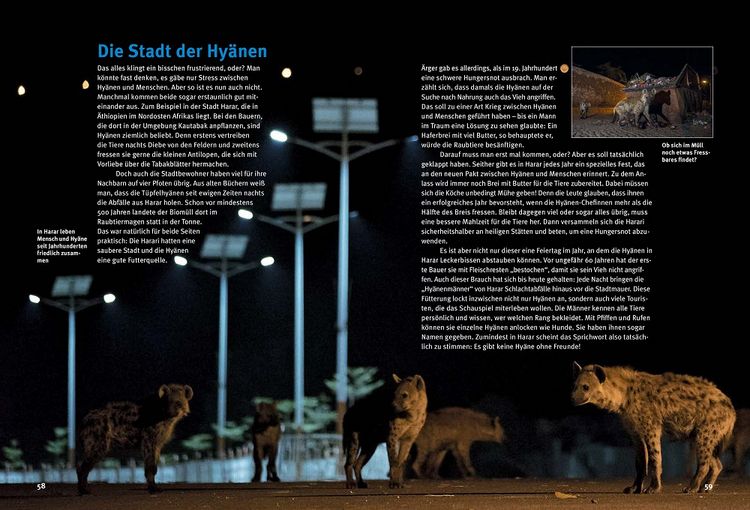Produktbild: Entdecke die Hy&auml;nen