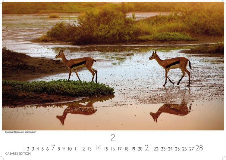 Produktbild: Namibia Kalender 2027 &ndash; Wandkalender | Fotokalender Afrika 35x50 cm - . mit atemberaubenden Landschaftsfotos und der Tierwelt.