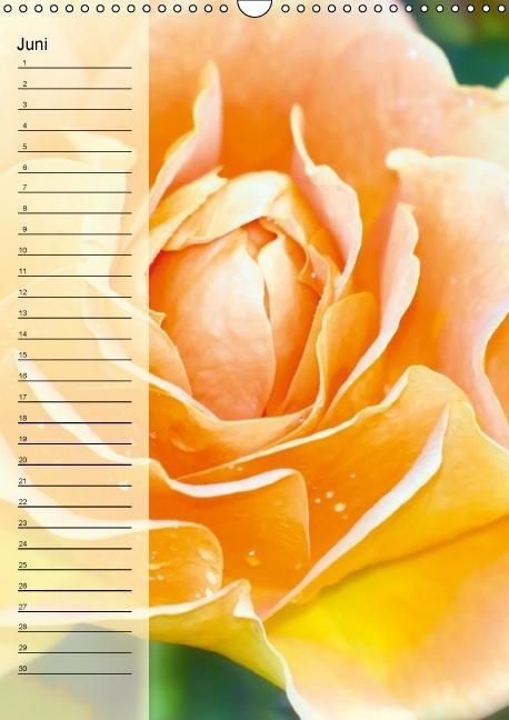 Produktbild: Immerw&auml;hrender Geburtstagskalender - Bl&uuml;tentr&auml;ume (Wandkalender immerw&auml;hrend DIN A3 hoch)