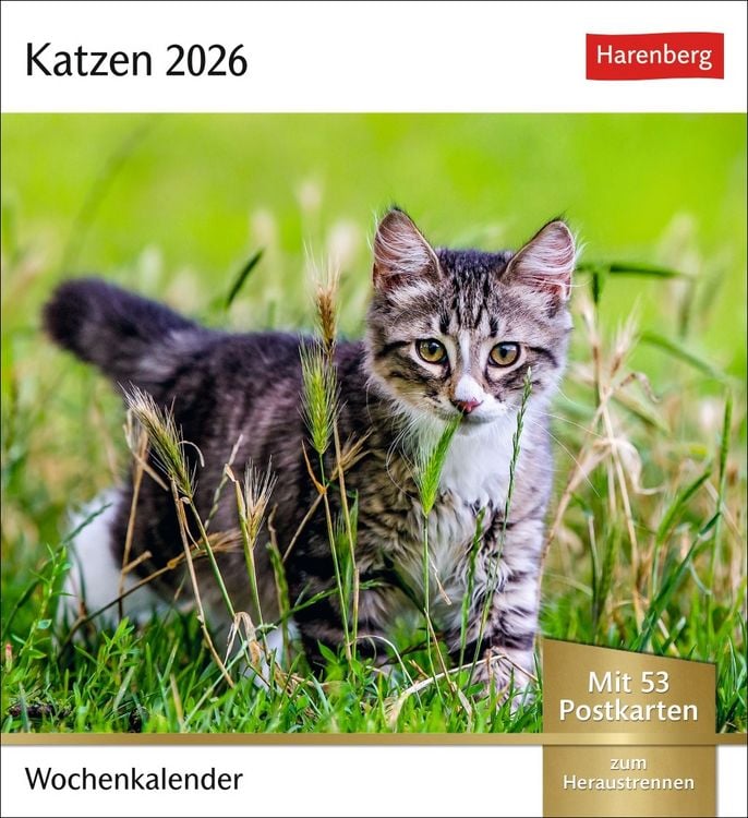 Produktbild: Katzen Postkartenkalender 2026 - Wochenkalender mit 53 Postkarten
