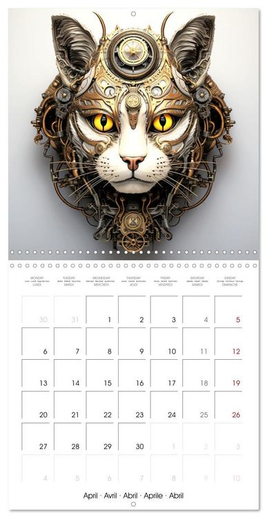 Produktbild: F&eacute;lins Steampunk (Calendrier mural carr&eacute; 2026 30x30 cm) Calendrier double avec une page pour vos prises de notes