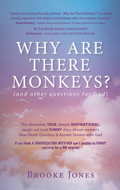Produktbild: Why Are There Monkeys? (and other questions for God)