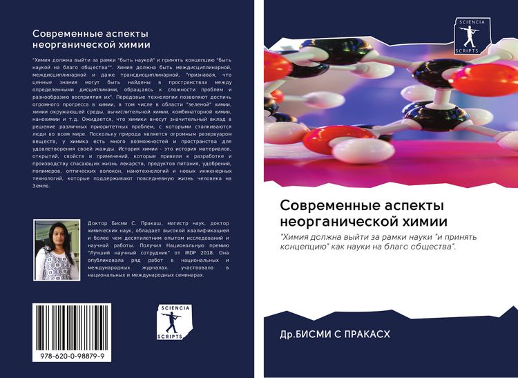 Produktbild: Sowremennye aspekty neorganicheskoj himii