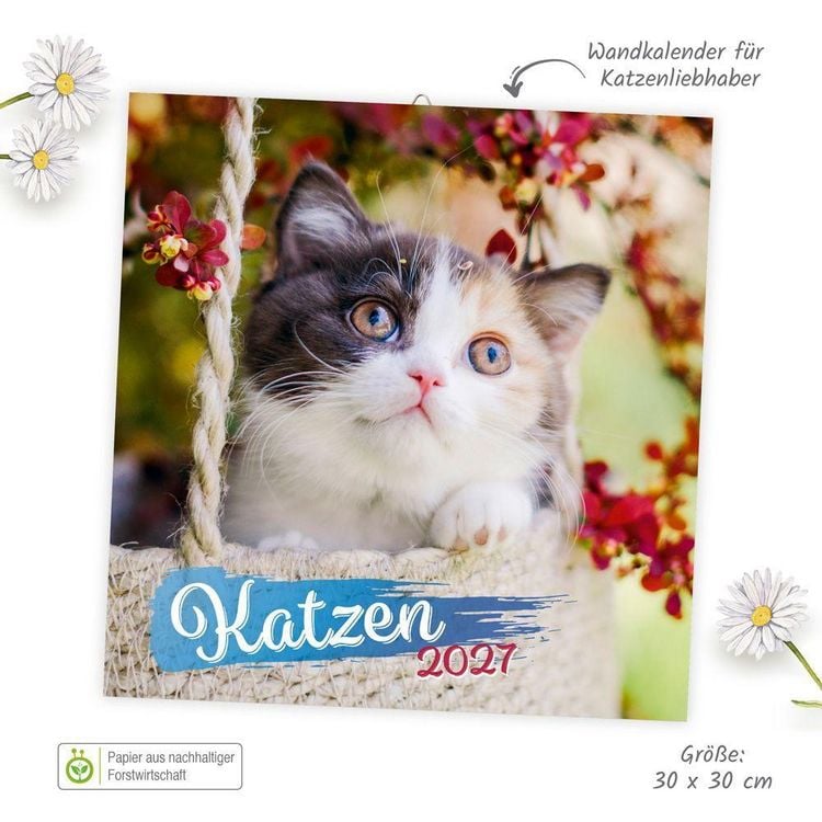 Produktbild: TR&Ouml;TSCH - Brosch&uuml;renkalender Katzen 2027