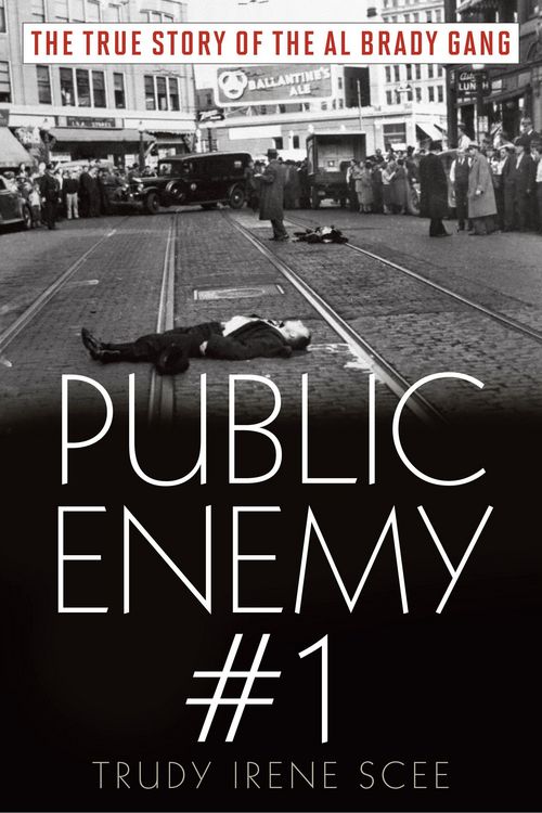 Produktbild: Public Enemy Number One