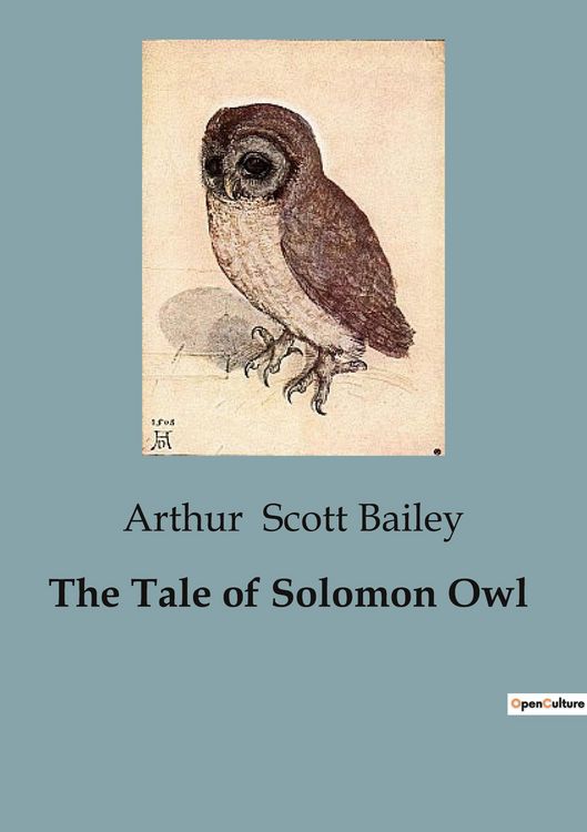 Produktbild: The Tale of Solomon Owl