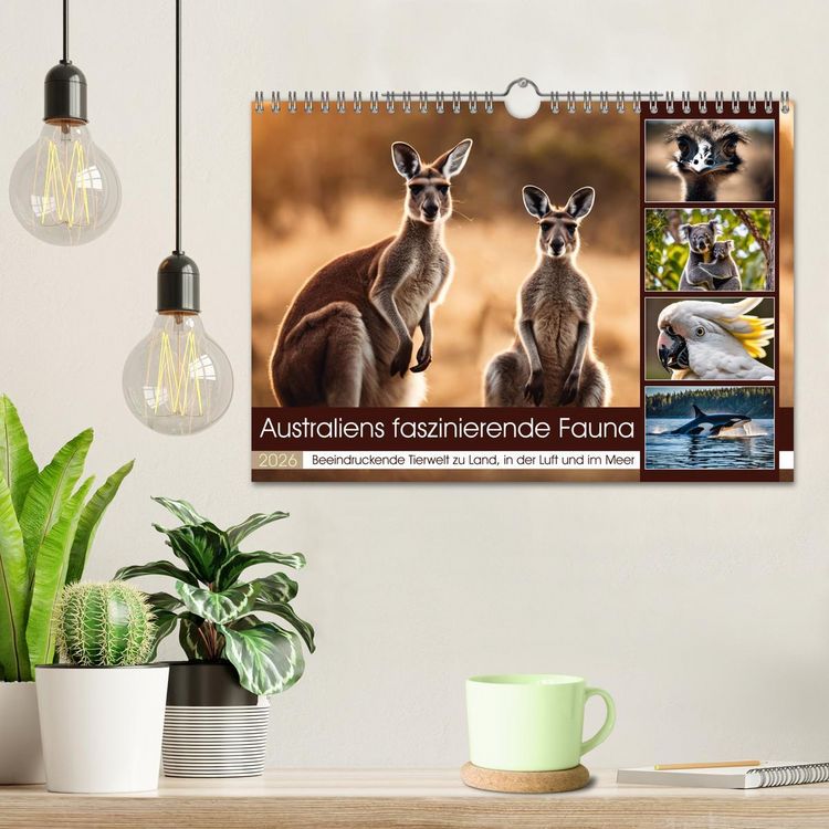 Produktbild: Australiens faszinierende Fauna (Wandkalender 2026 DIN A4 quer), CALVENDO Monatskalender