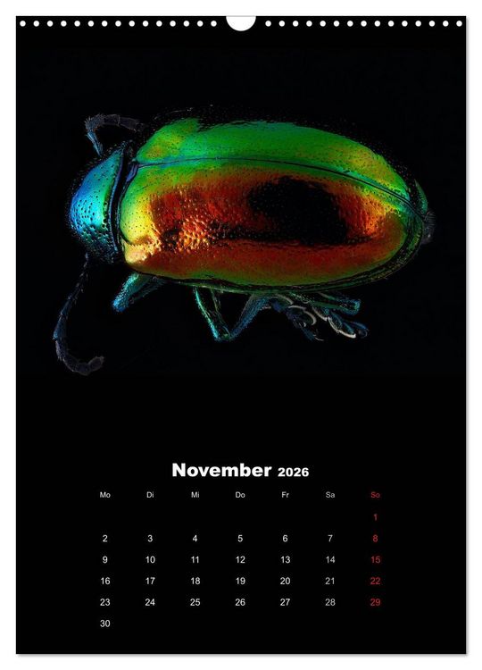Produktbild: Schillernde Insektenwelt (Wandkalender 2026 DIN A3 hoch), CALVENDO Monatskalender