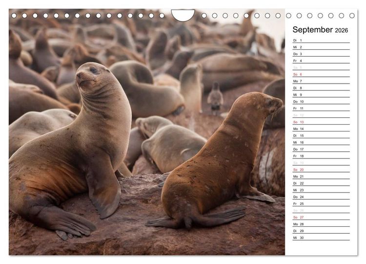 Produktbild: Kalifornien USA (Wandkalender 2026 DIN A4 quer), CALVENDO Monatskalender